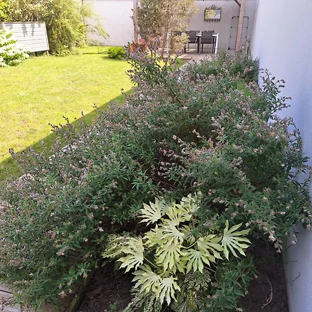 Planchesdisa * Сен-Пер-сюр-Мер